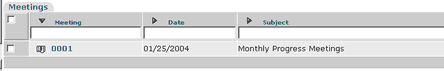 Meeting Grid Folder View